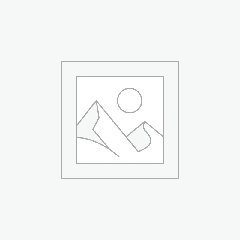 Filter Honda 17211-z0h-800 Air Filter