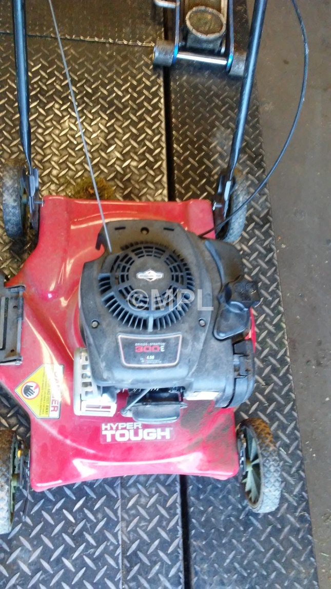 Briggs and best sale stratton e300