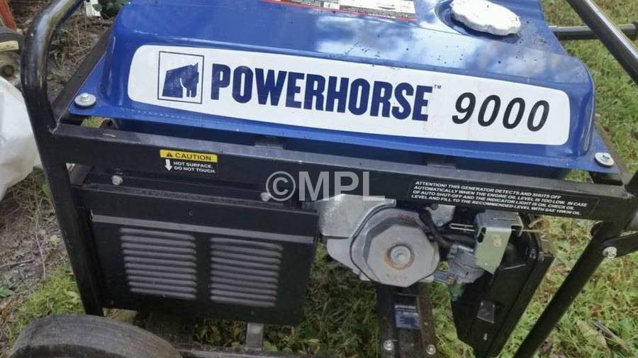 Powerhorse 9000 Carburetor