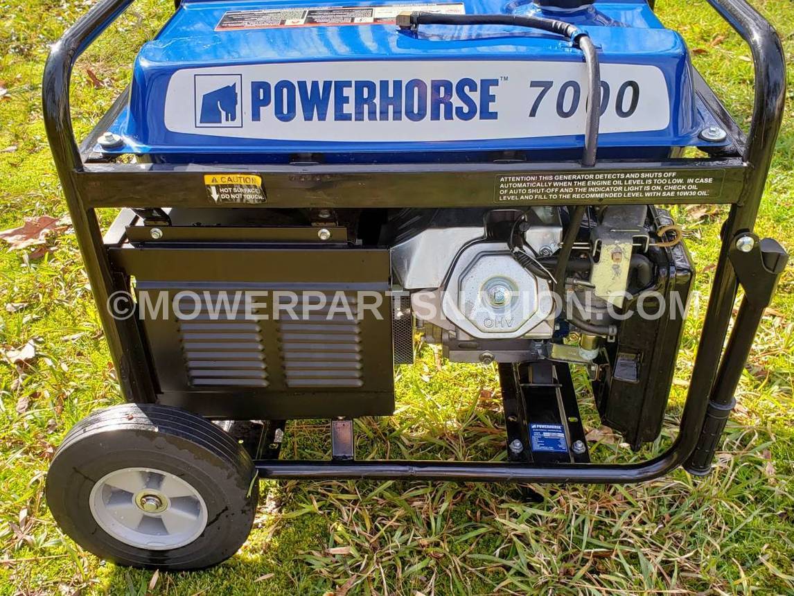 Powerhorse 7000 Model 166113E Generator Carburetor
